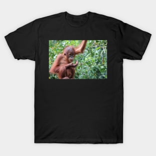 Snack Time T-Shirt